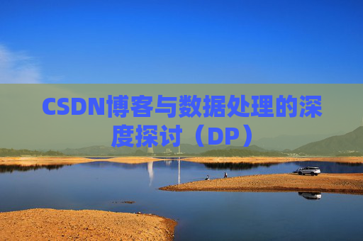 CSDN博客与数据处理的深度探讨（DP）